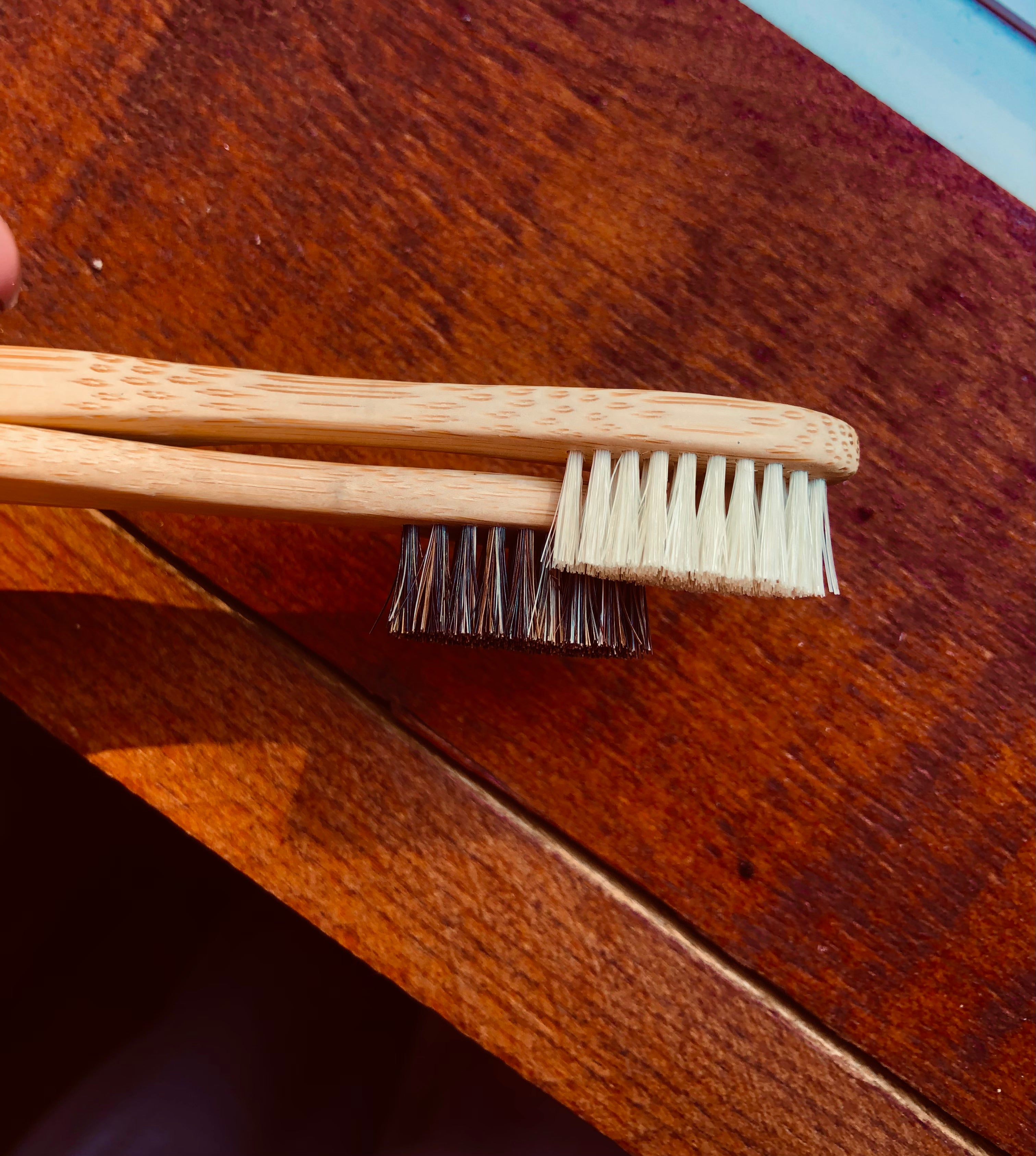 Gaia Guy Zero Waste Toothbrushes
