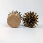Bamboo and Coconut Fibre Replaceable Dish Brush Head